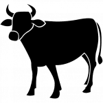 গরু