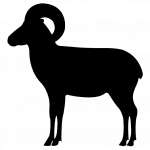 দুম্বা